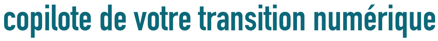 copilote de votre transition numérique
